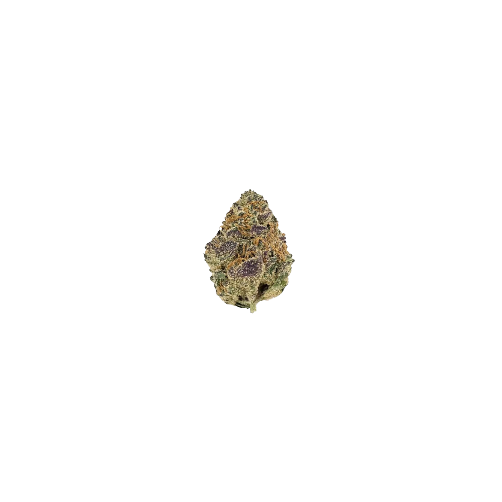 White Cherry Gelato