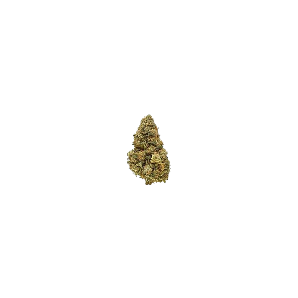 Blueberry Truffle