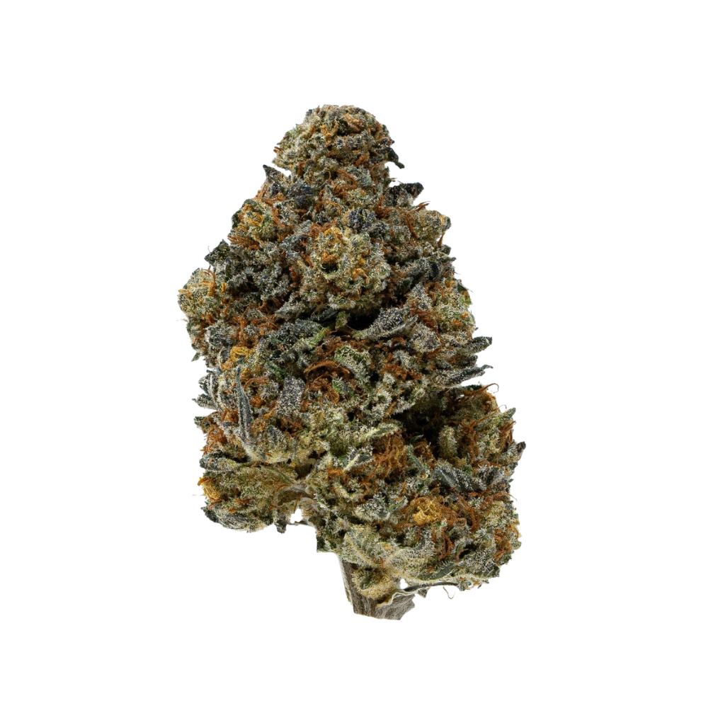 Gelato Dosido