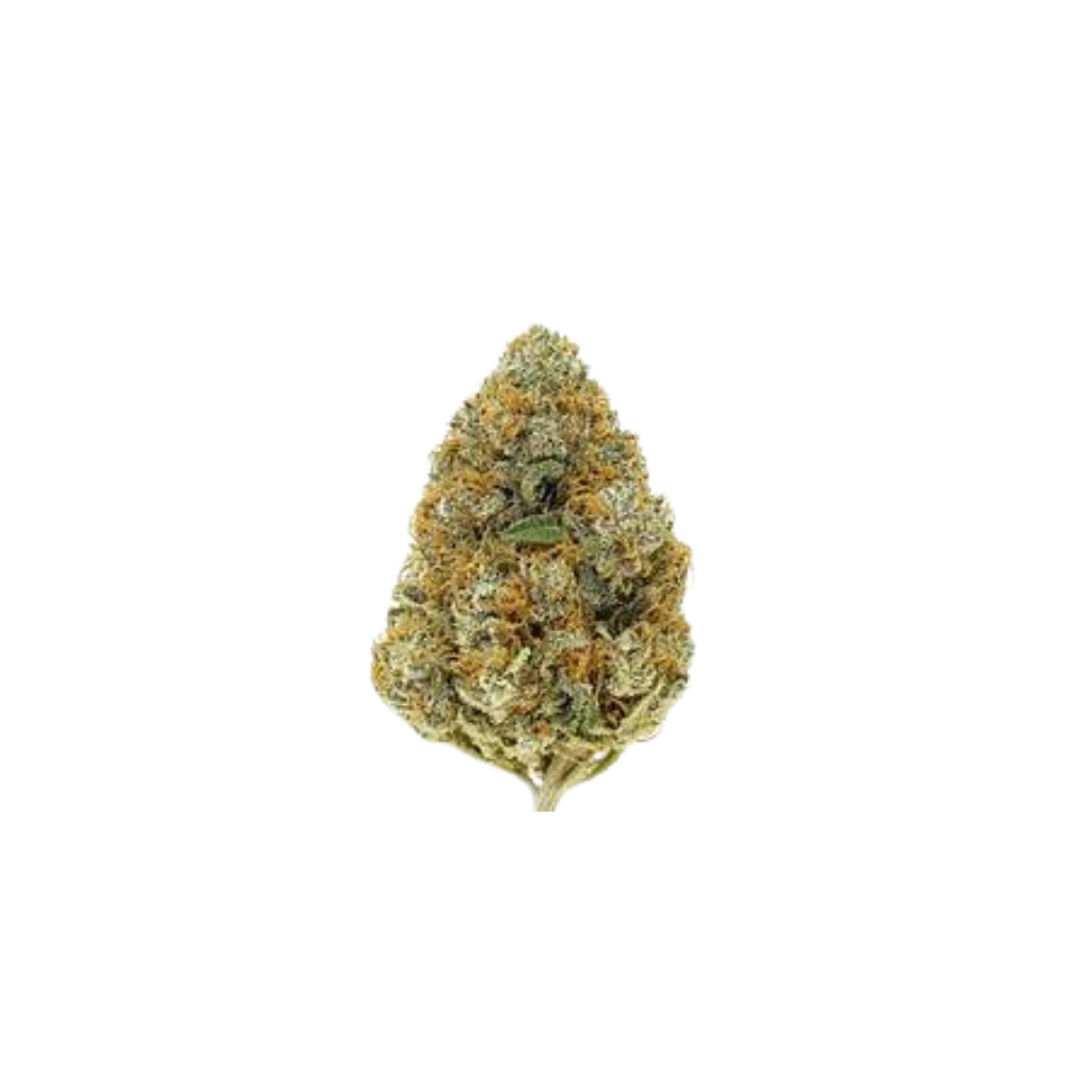 Grapefruit