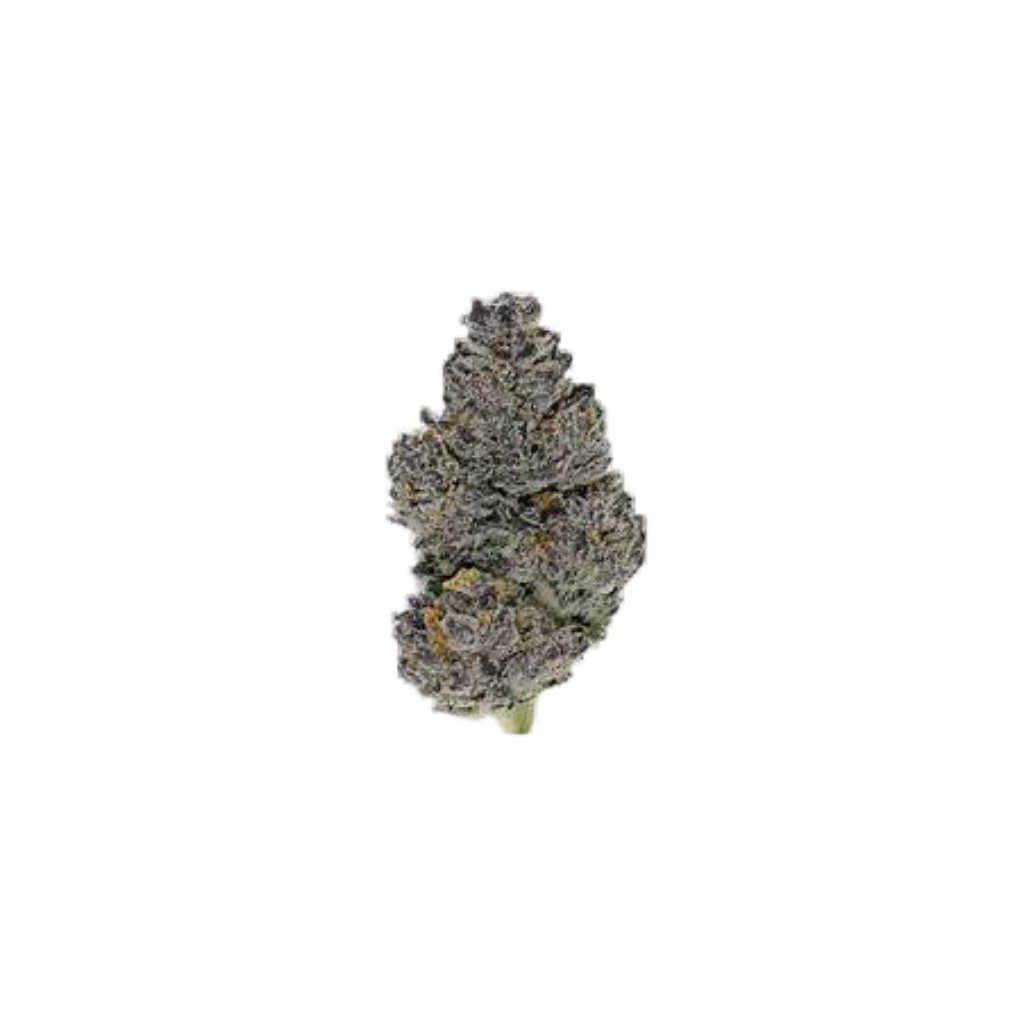 Lemon Drop
