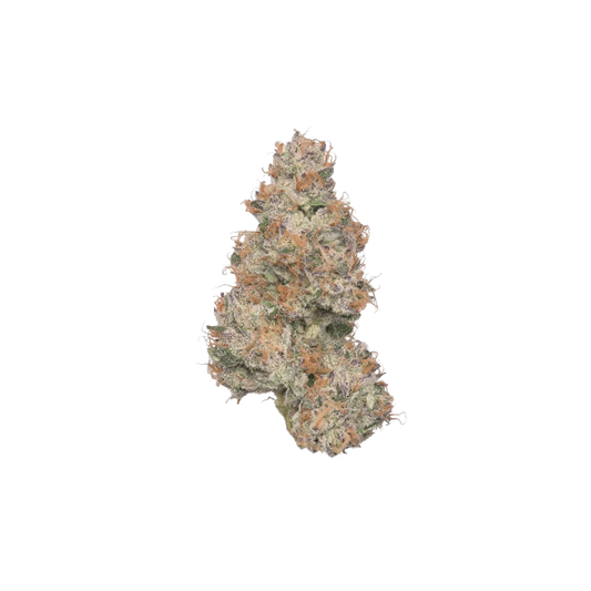 Gasanova