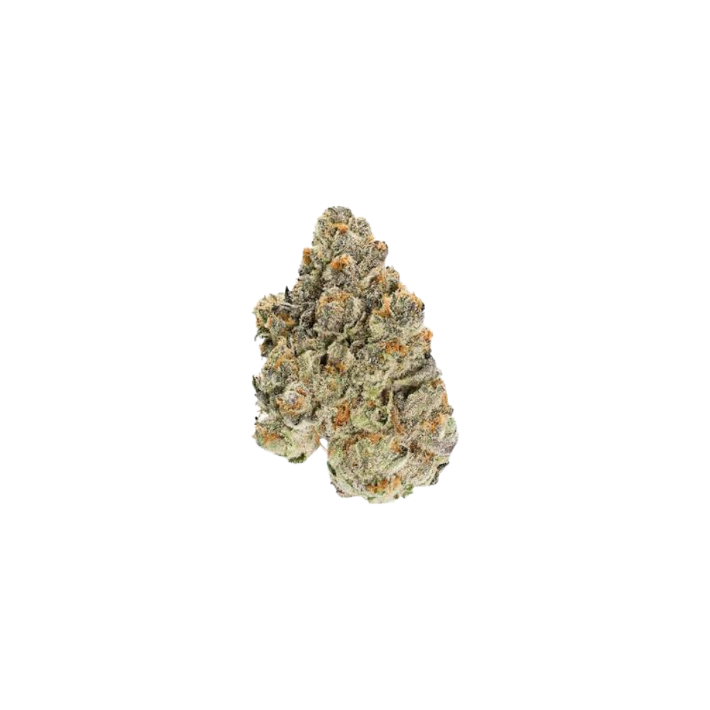 Guava
