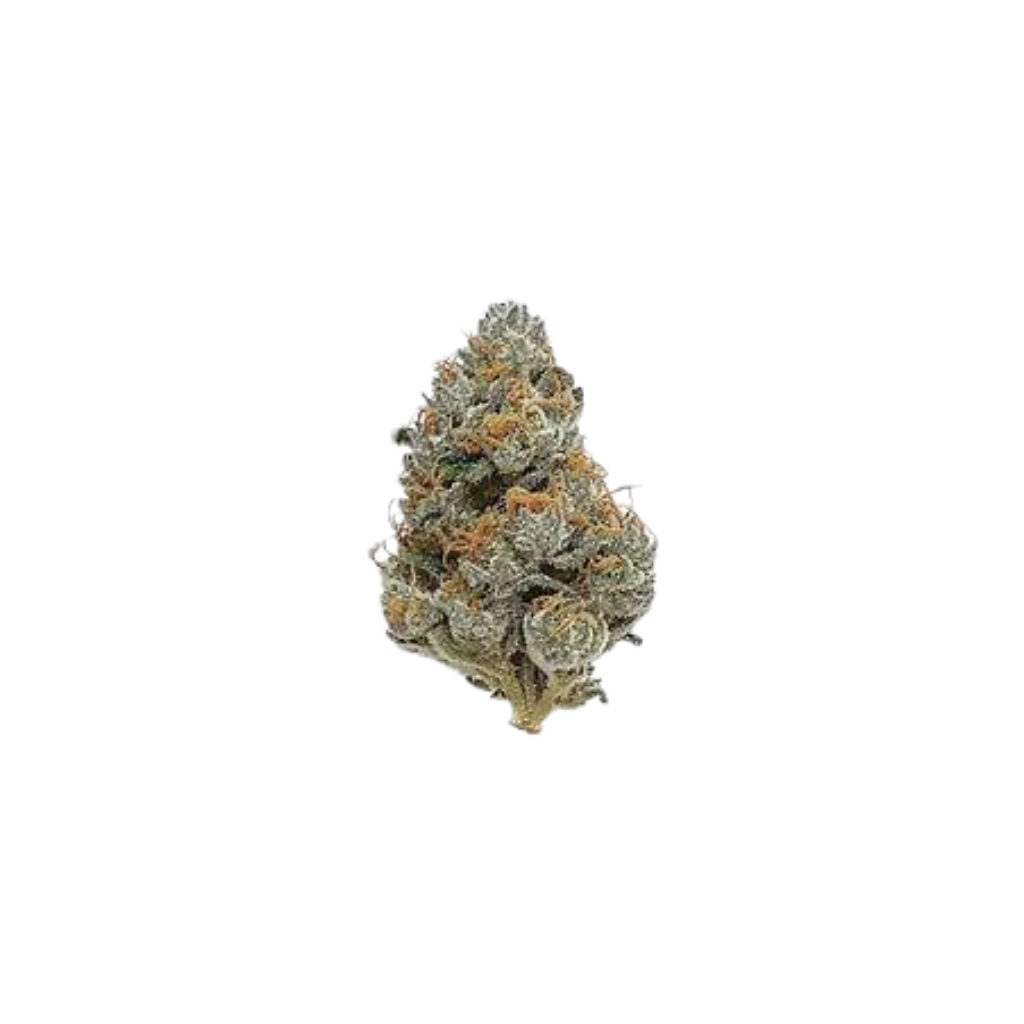 Girl Scout Cookies