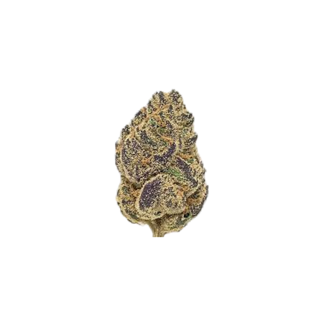 Blackout Berries
