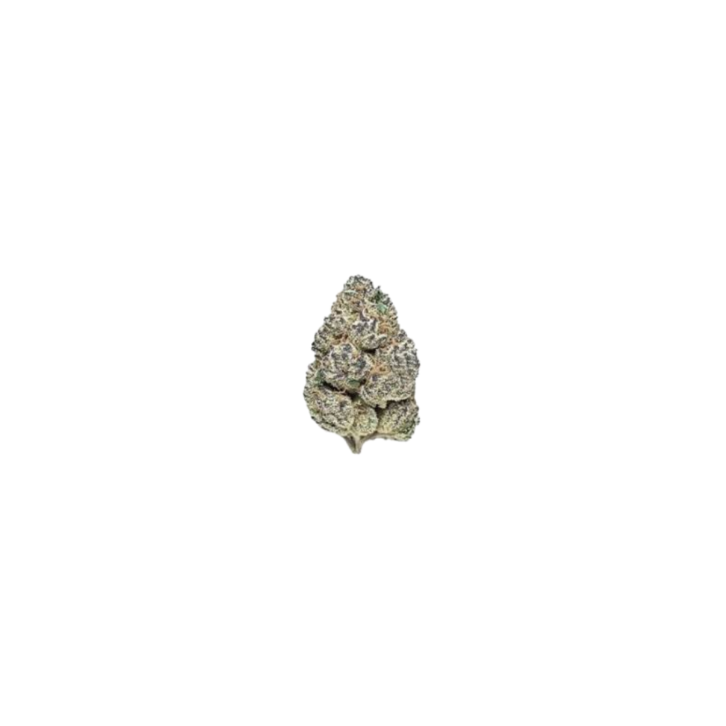 Sherbacio