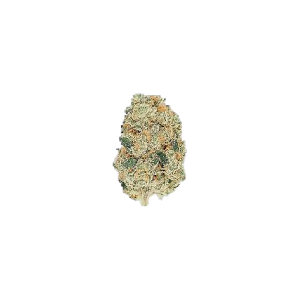 White Gelato