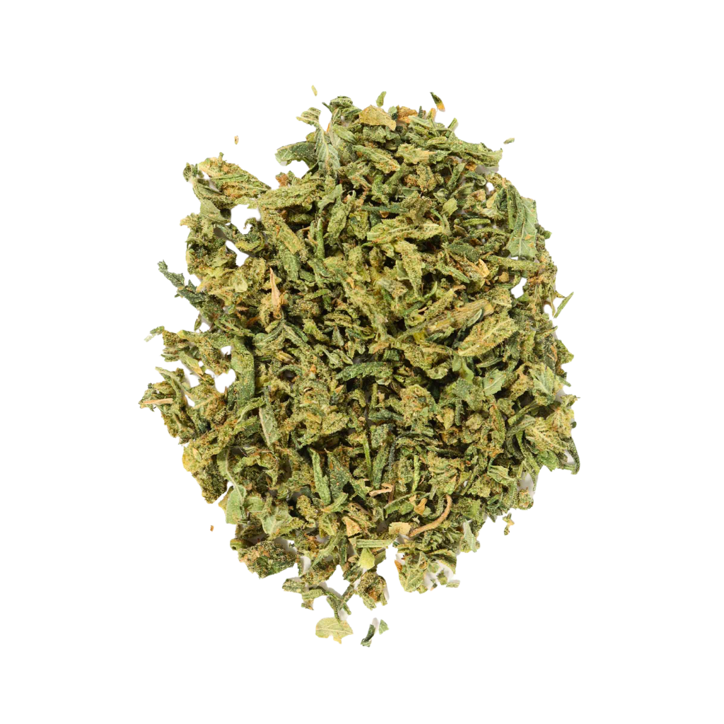 Georgia Pie Shake 5G