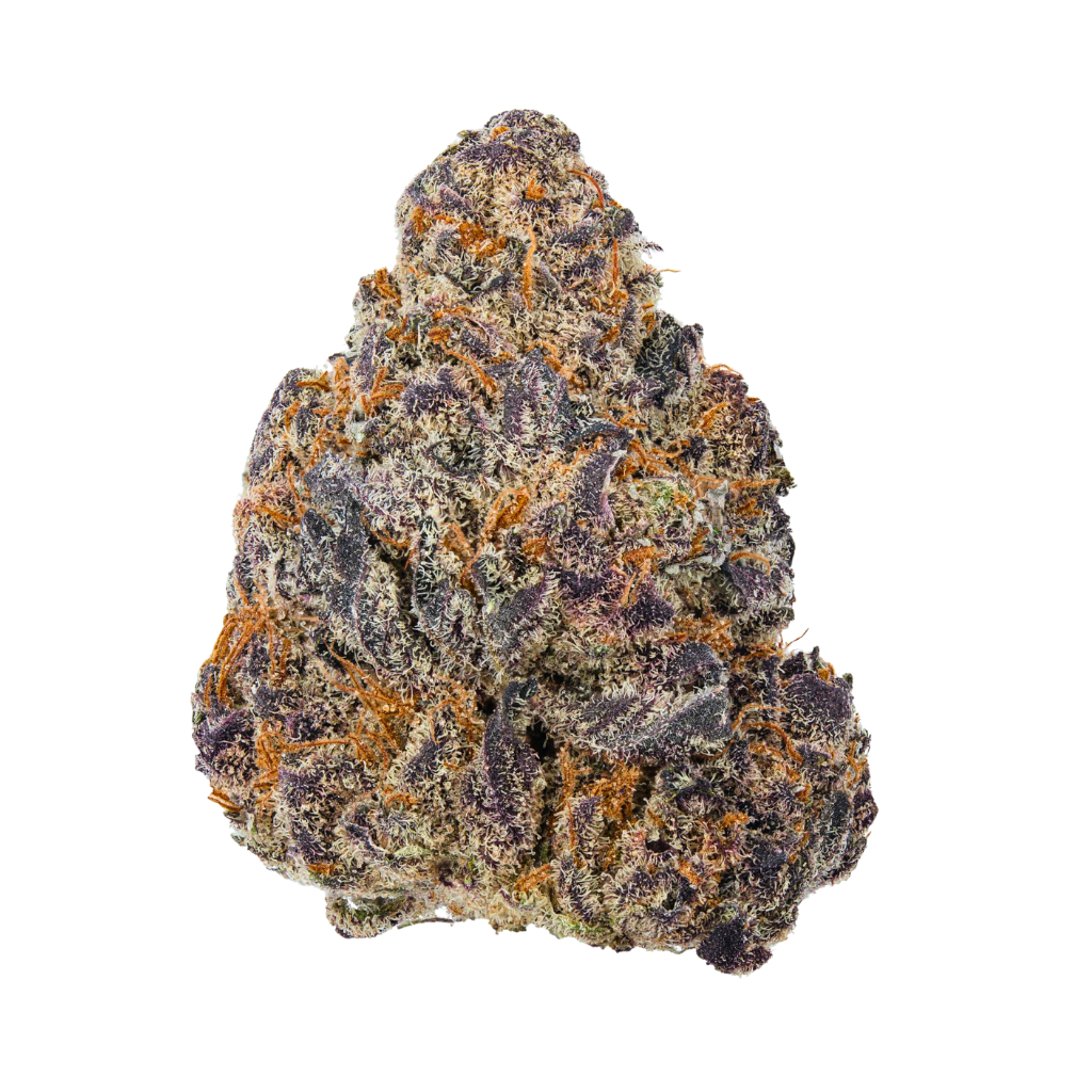Violet Fog