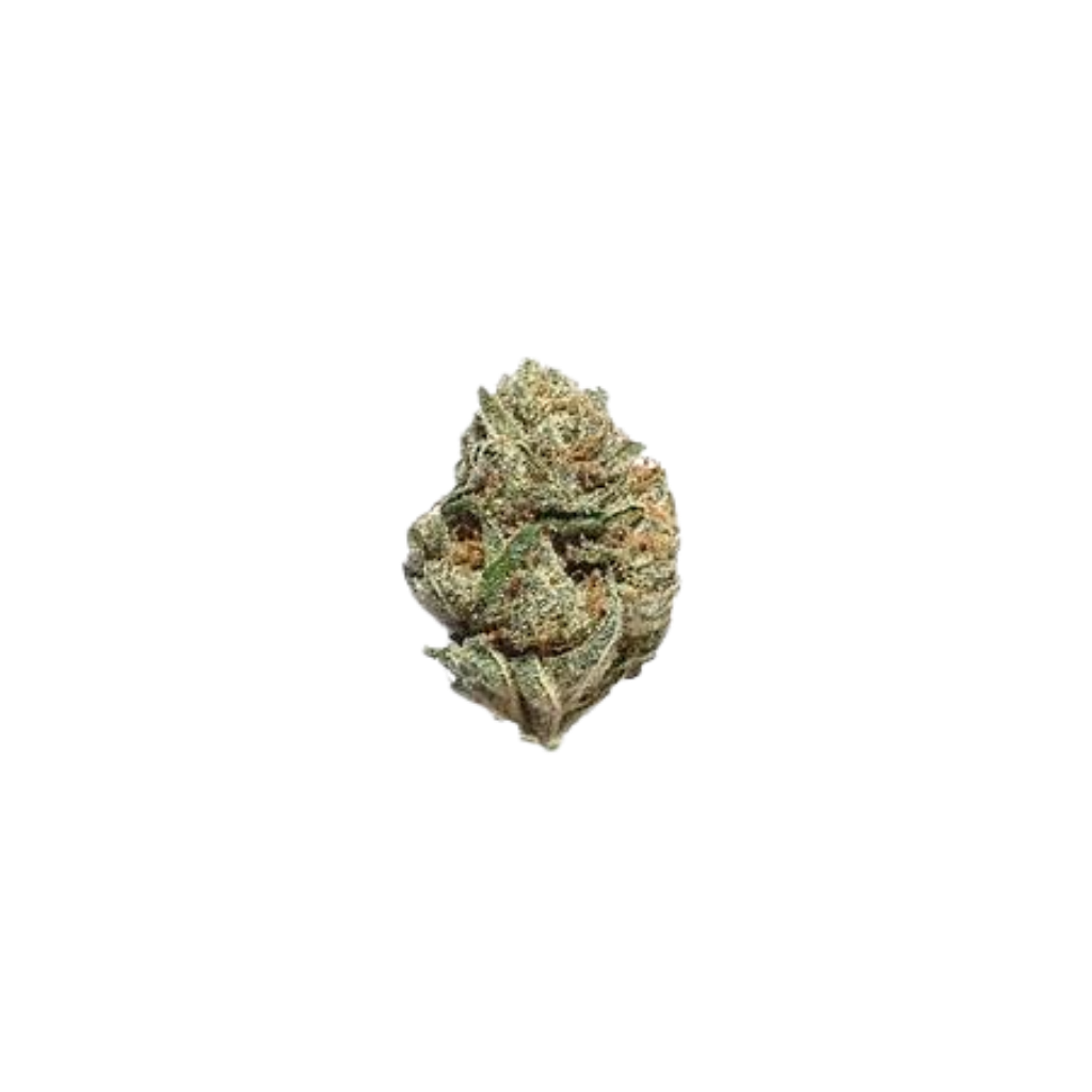 White Rhino