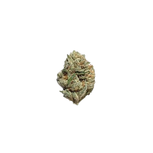 White Rhino